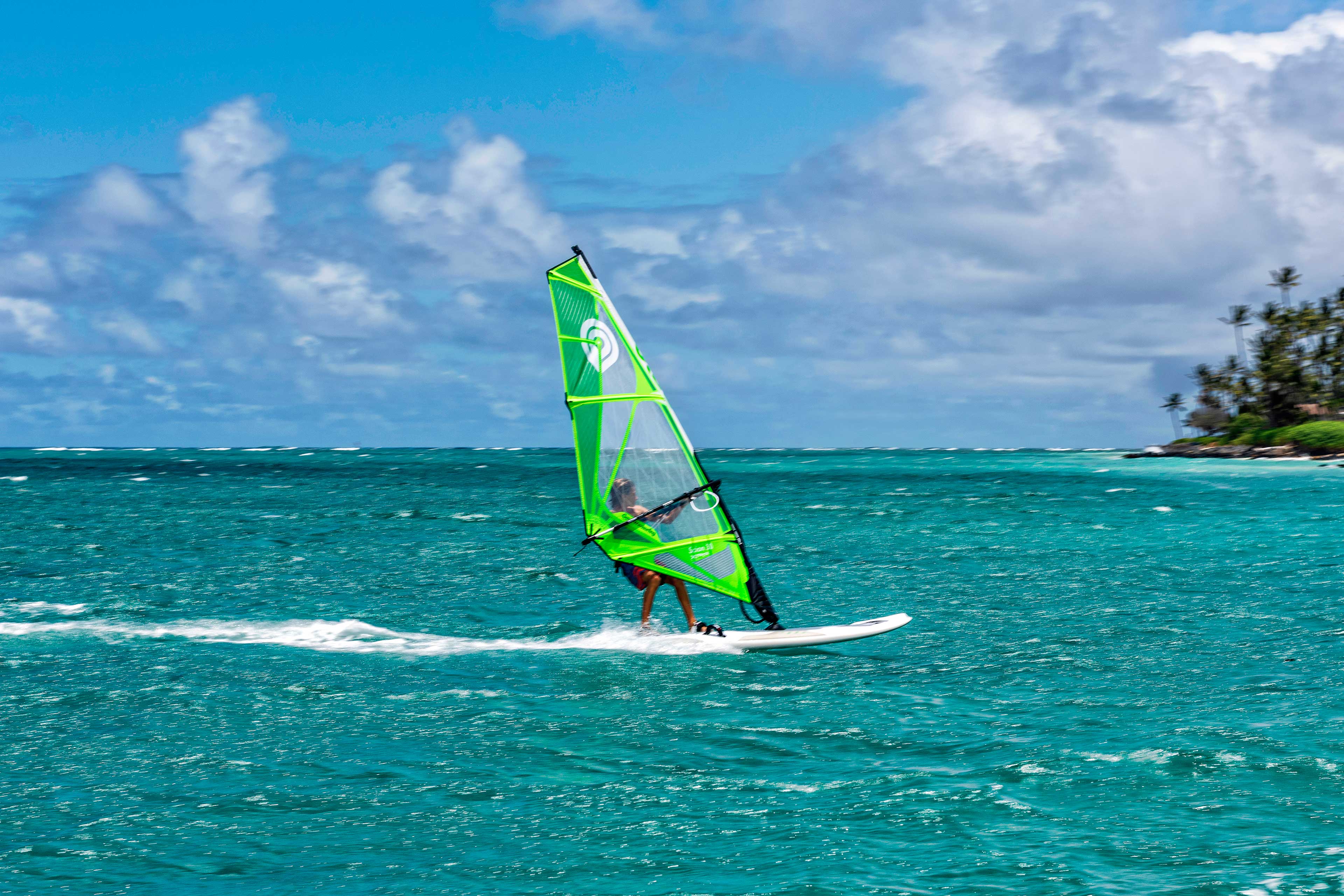 Goya Windsurfing - Sails - Scion X Pro
